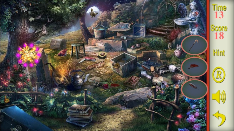 Hidden Objects A Garden by sumit aghera