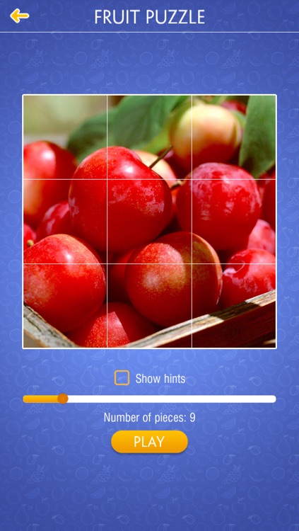 Jigsaw Puzzle - Fruit