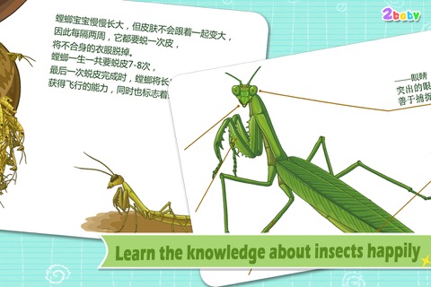 Mantis - InsectWorld A story book about insects for children screenshot 4