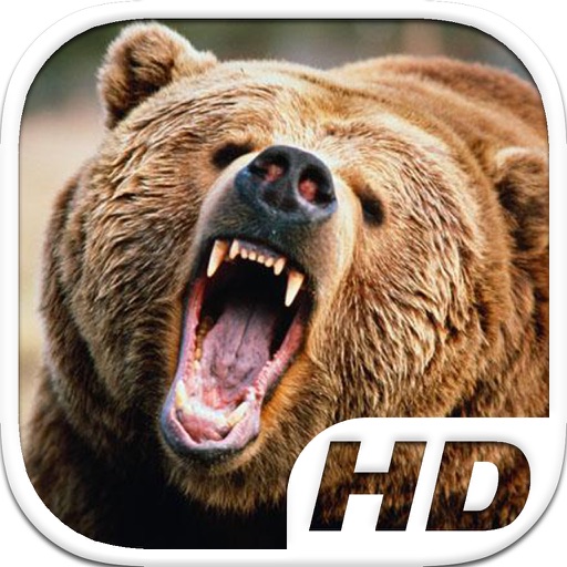 Bear Simulator HD Animal Life iOS App