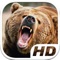 Bear Simulator HD Animal Life