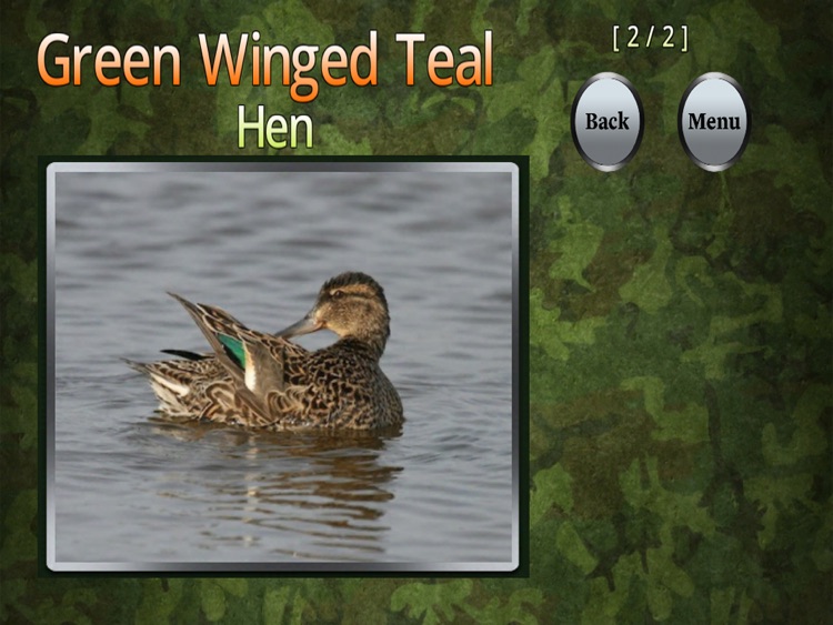 Duck ID "For iPad" screenshot-3