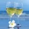 Welcome to the Central Coast Winery Finder Application