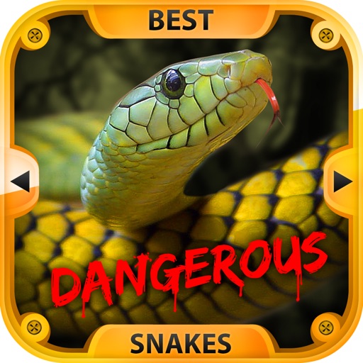The Best Dangerous Snakes+ icon