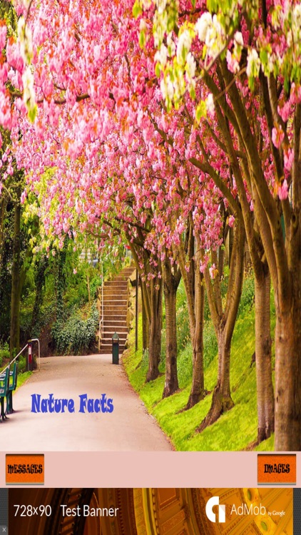 Nature Facts Images & Messages / Latest Facts / General Knowledge Facts