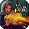 Abandoned Magic Forest