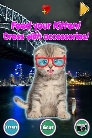 Talking Kitten - Play Time & Fun Games FREE screenshot 3