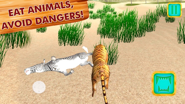 Safari Wildlife: Tiger Simulator 3D Full