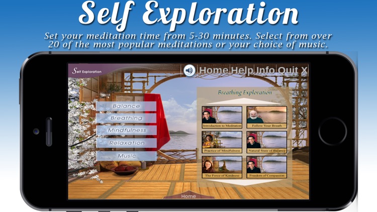 Relaxing Rhythms - Guided Meditation Program Incorporating Active Feedback and Heart Rate Variability For Optimal Results screenshot-3