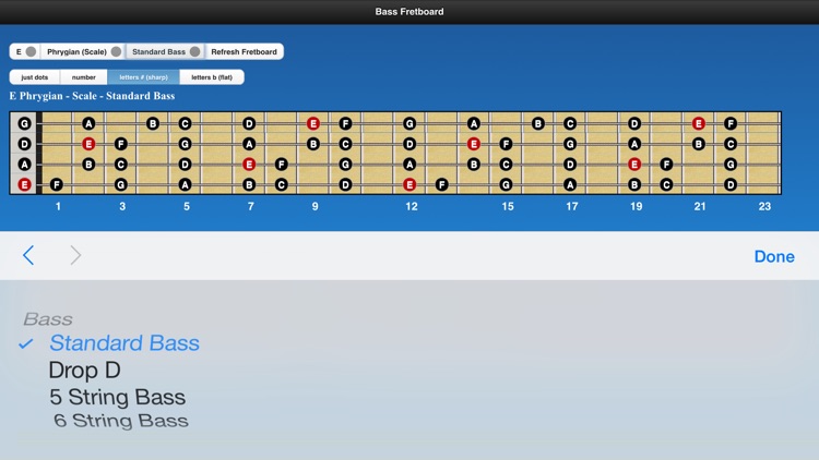 Bass Chords and Scales screenshot-4