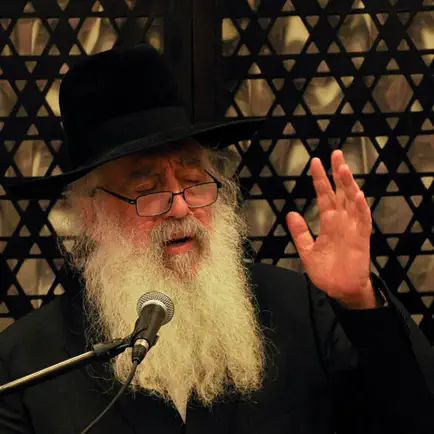 Rabbi David Pinto Читы