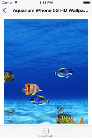 Aquarium HD Wallpaper for iPhone screenshot 2