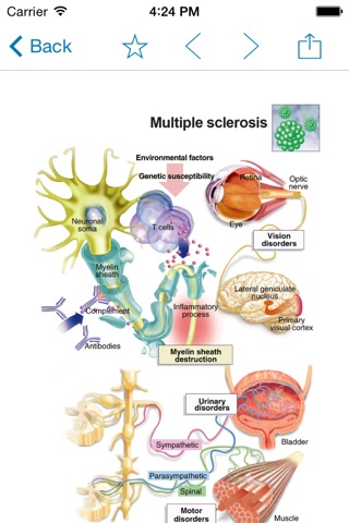 Miniatlas Central Nervous System screenshot 4