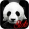 AAA Adventure of Panda Free Slots - Animal Classic Casino Slots