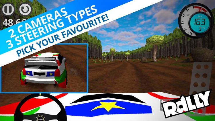 Rally Championship screenshot-4