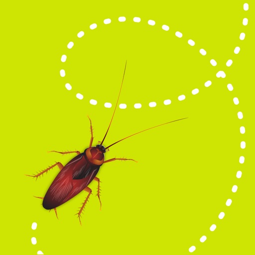 dizzy bugs - Animated Stickers