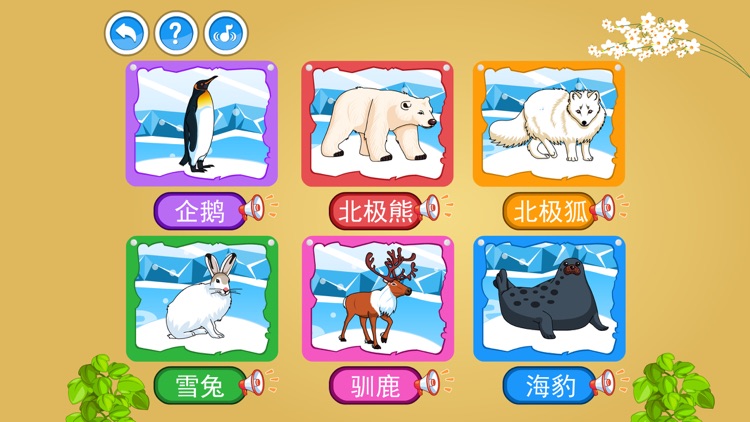 The Polar Animals