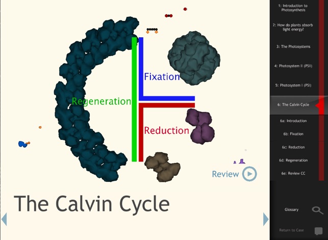 IC Photosynthesis(圖5)-速報App