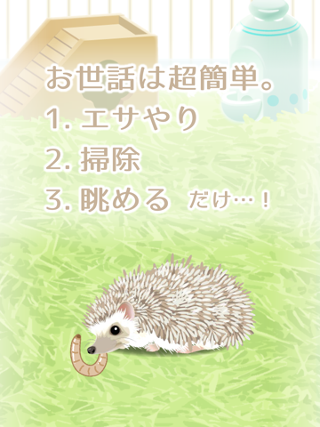 Hedgehog Pet screenshot 2