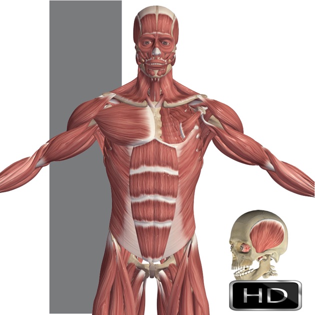 3 d anatomy app for mac