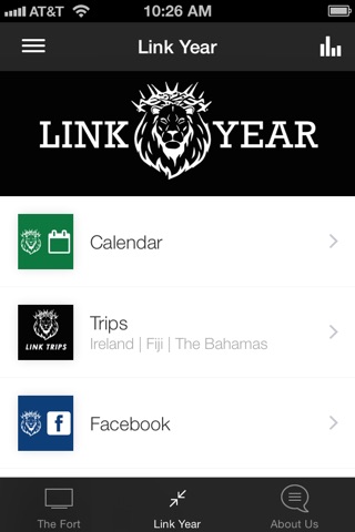 Link Year screenshot 4