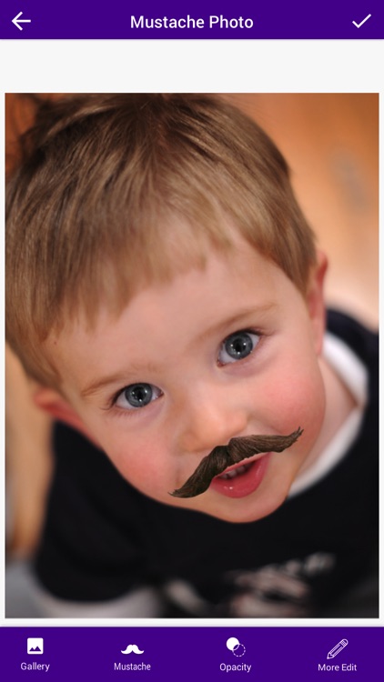 Mustache Photo Booth - Mustache Photo Montage