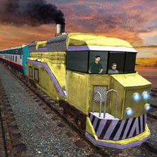 Activities of Driving Fast Train Sim 2017