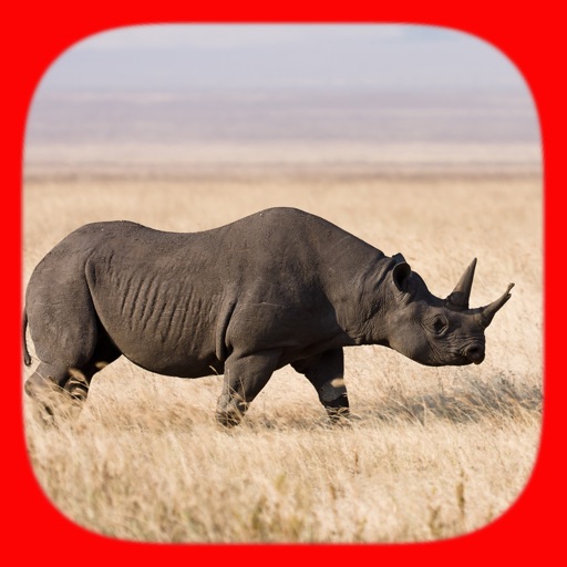 Animal World Pro For Kids and Toddlers Education iOS App