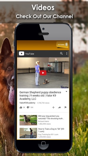 K9 German Shepherds Watch Dogs - Rescue Dogs Prem(圖3)-速報App