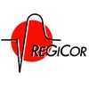 REGICOR CARDIOVASCULAR RISK ESTIMATION