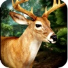 3D Wild Animal Ultimate Hunting