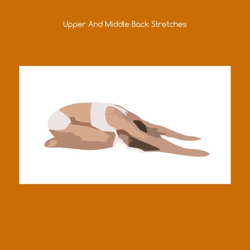 Upper and middle back stretches icon