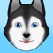 Get the awesome emoji stickers and keyboard for all the Husky lovers