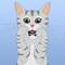 KittyMojis is the #1 Kitty emoji app for cat lovers