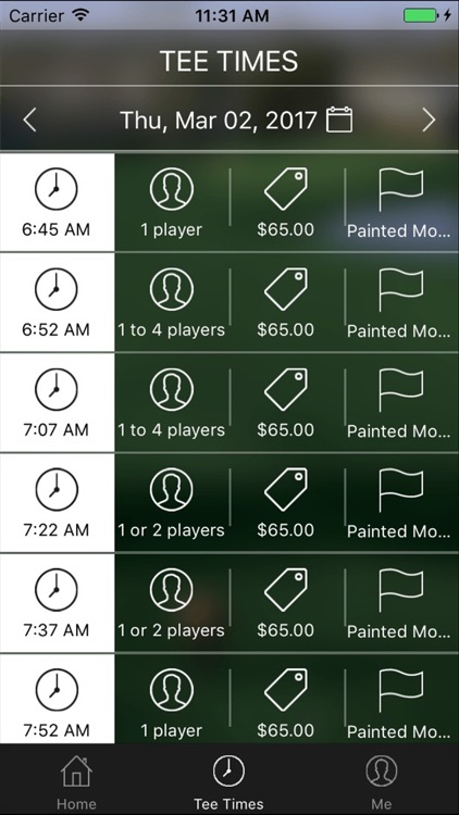 Painted Mountain Golf Tee Times