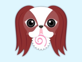 Are you a Japanese Chin puppy lover