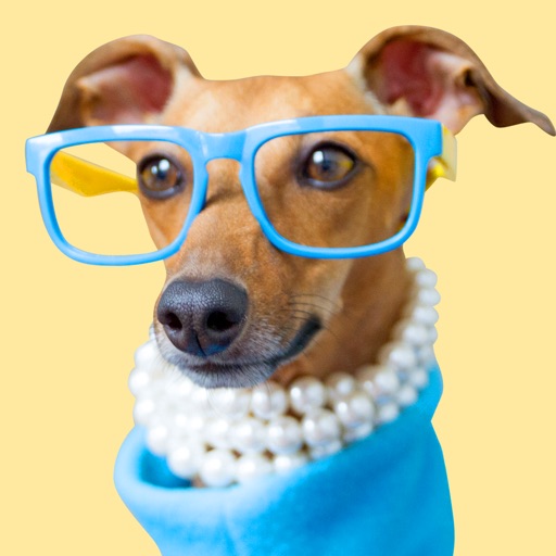 IggyMoji - Italian Greyhound dog emojis, stickers iOS App