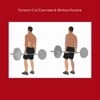 Forearm curl exercises and workout routine