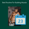 Best routine for building muscle