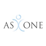 AS ONE AUDIT