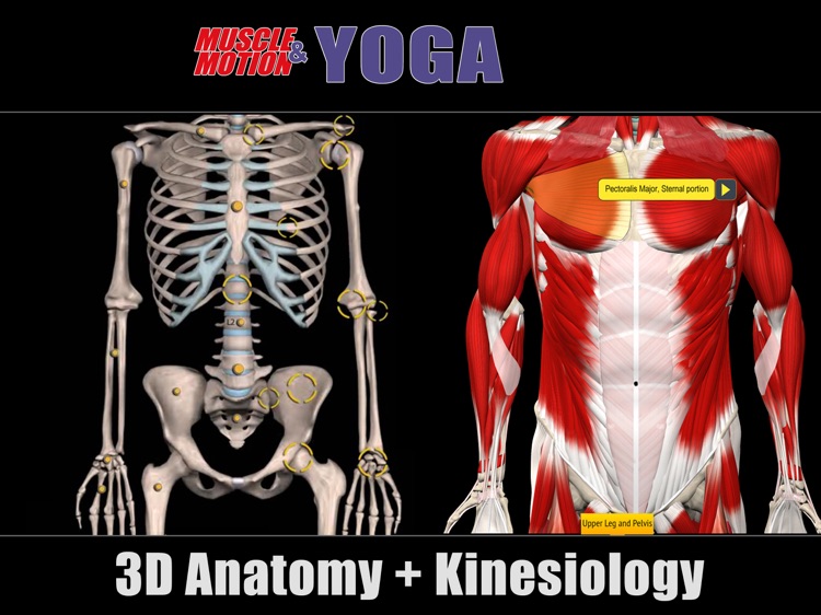 Muscle and Motion Yoga screenshot-3