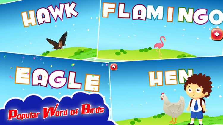 Kids Spelling Learning Birds - Phonics Words Free