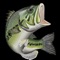 ""Real bass fishing experience with amazing graphic and intuitive rod action