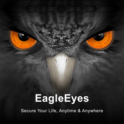 EagleEyes-plus