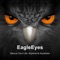 What is AVTECH EagleEyes-plus