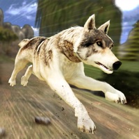 The Wolf Among The Horses