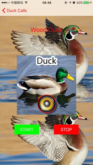 Real Duck Hunting Calls & Sounds(圖3)-速報App