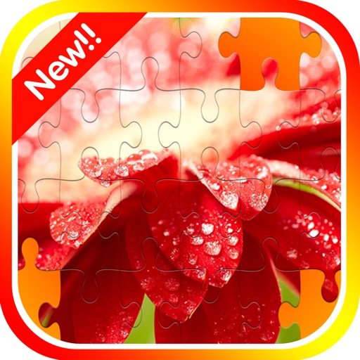 Flower Jigsaw Puzzle Matching Quest Box Games icon