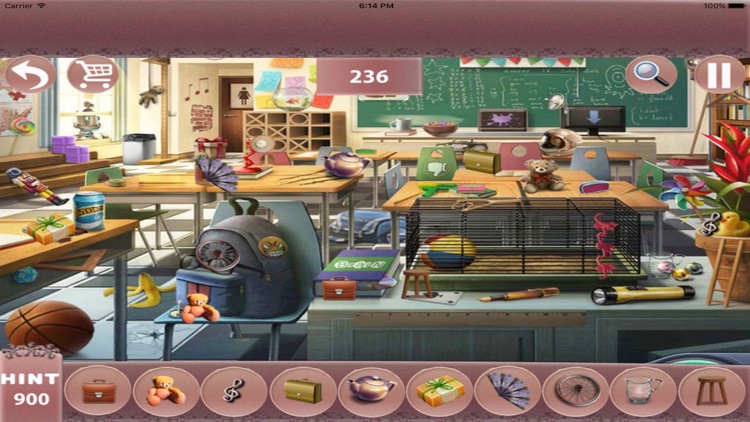 Hidden Objects : Second Assistant