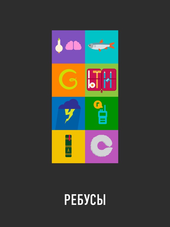 РЕБУСЫ+ на iPad